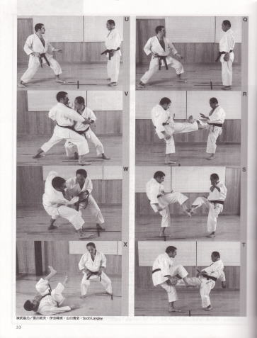 Tetsuhiko Asai, 9 Dan, International Japan Bujutsu Karate Association (IJKA)