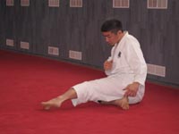 Mawashi Geri